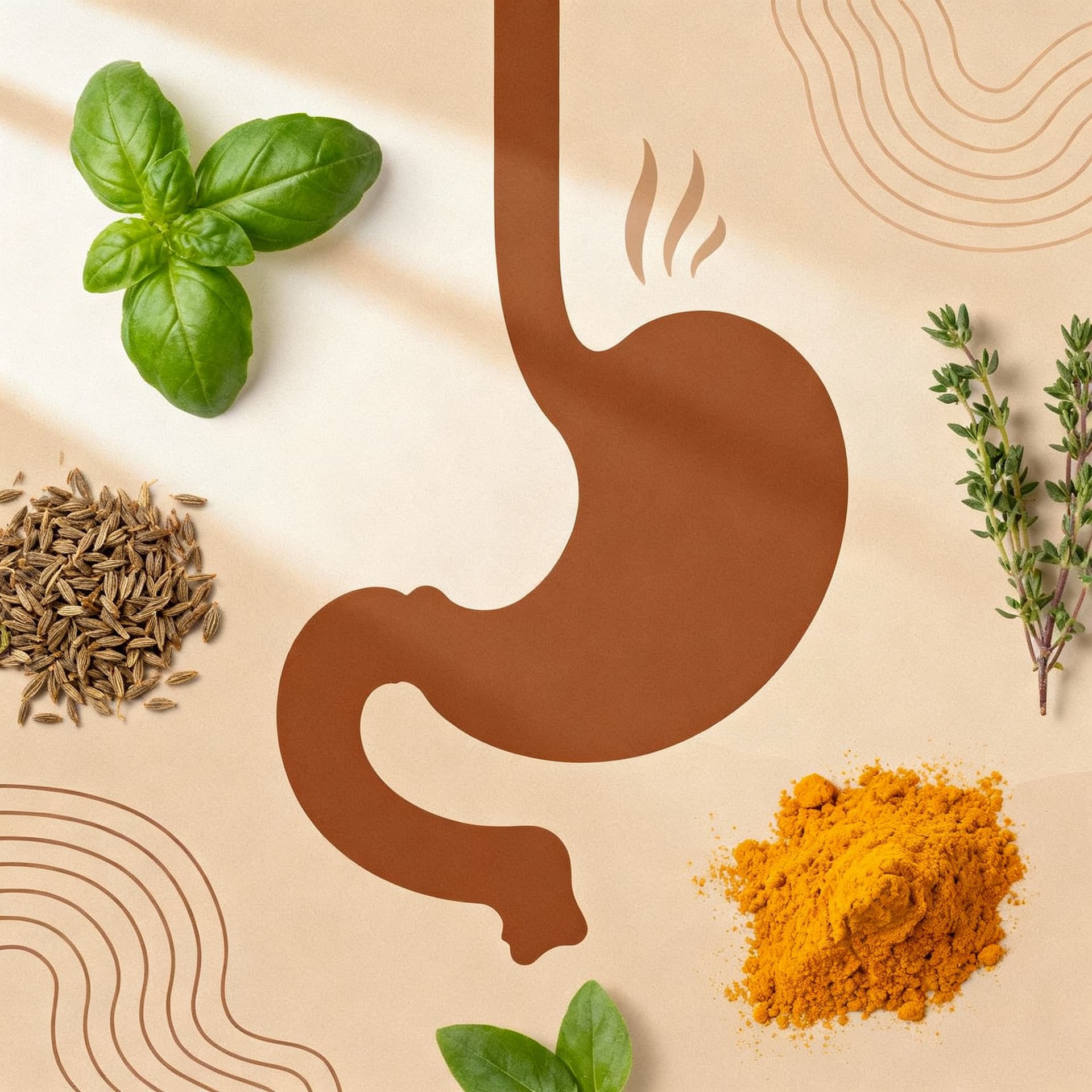 Digestive Health - Ayurvedic Products